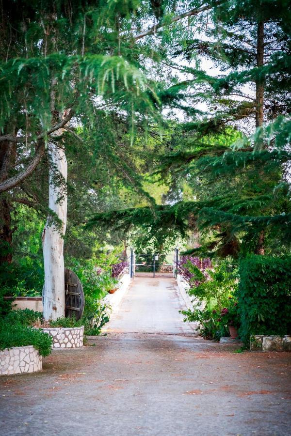 جويا ديل كولي B&B Mandorla Amara المظهر الخارجي الصورة
