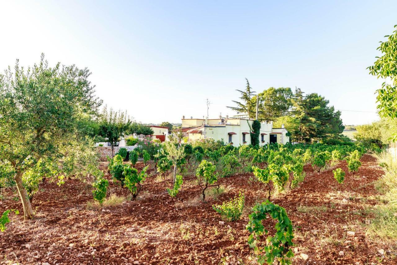 جويا ديل كولي B&B Mandorla Amara المظهر الخارجي الصورة