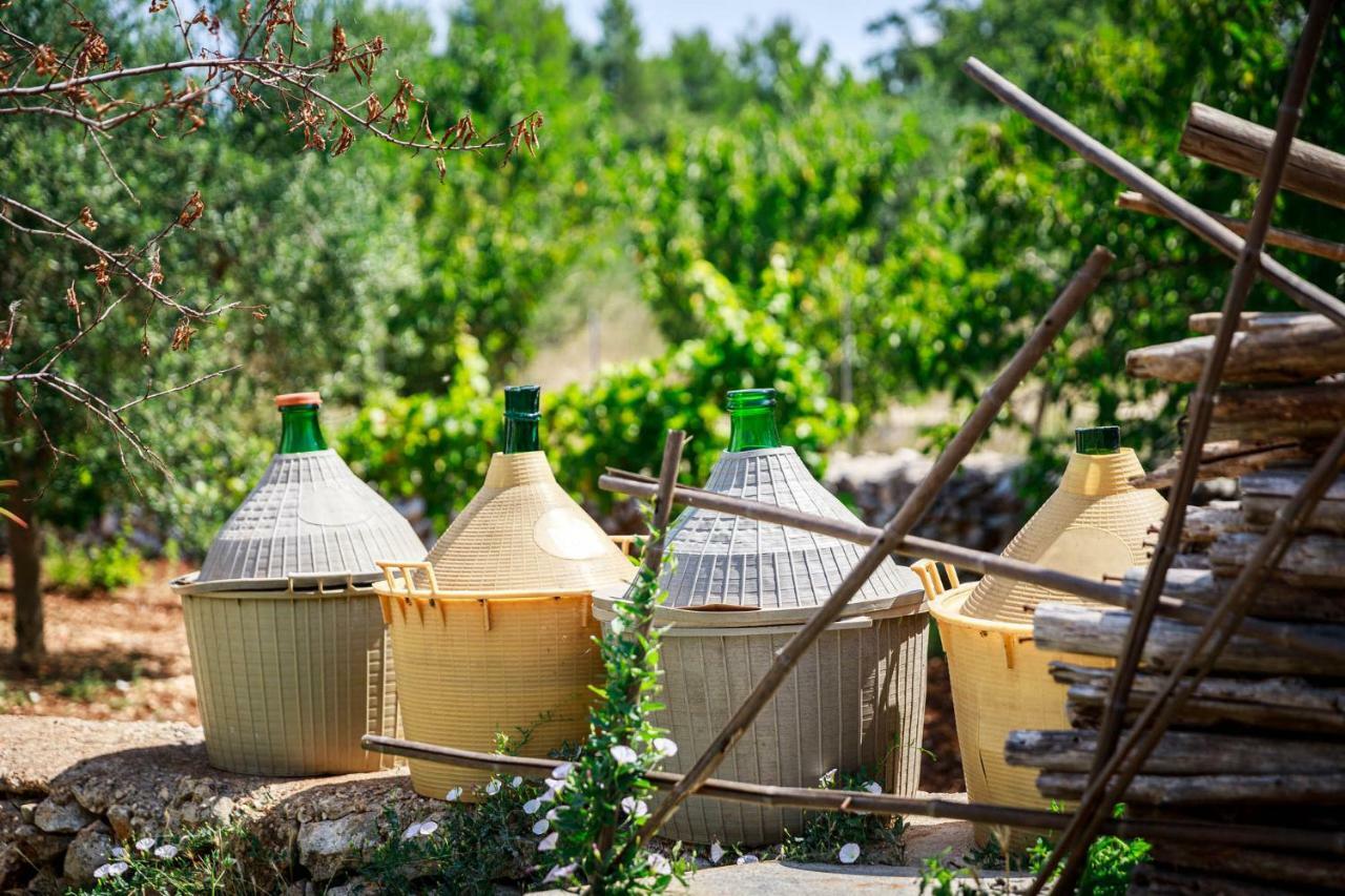 جويا ديل كولي B&B Mandorla Amara المظهر الخارجي الصورة